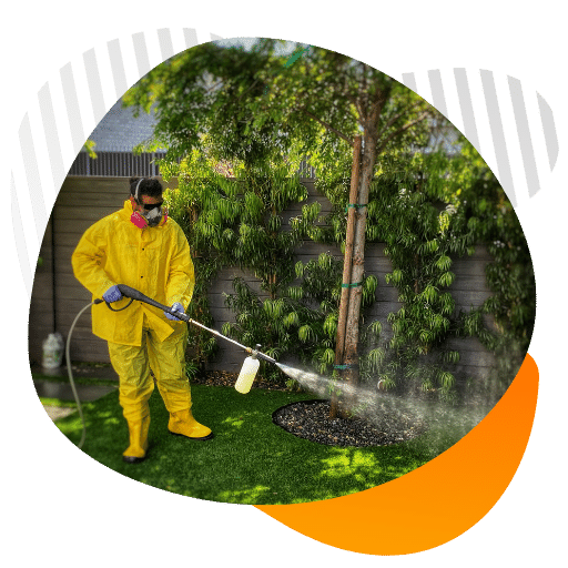 Artificial turf cleaning guide