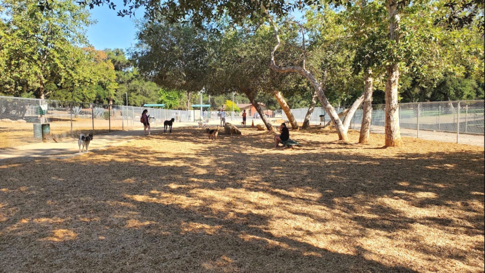 Crescenta Valley Dog Park Best Dog Parks in Los Angeles