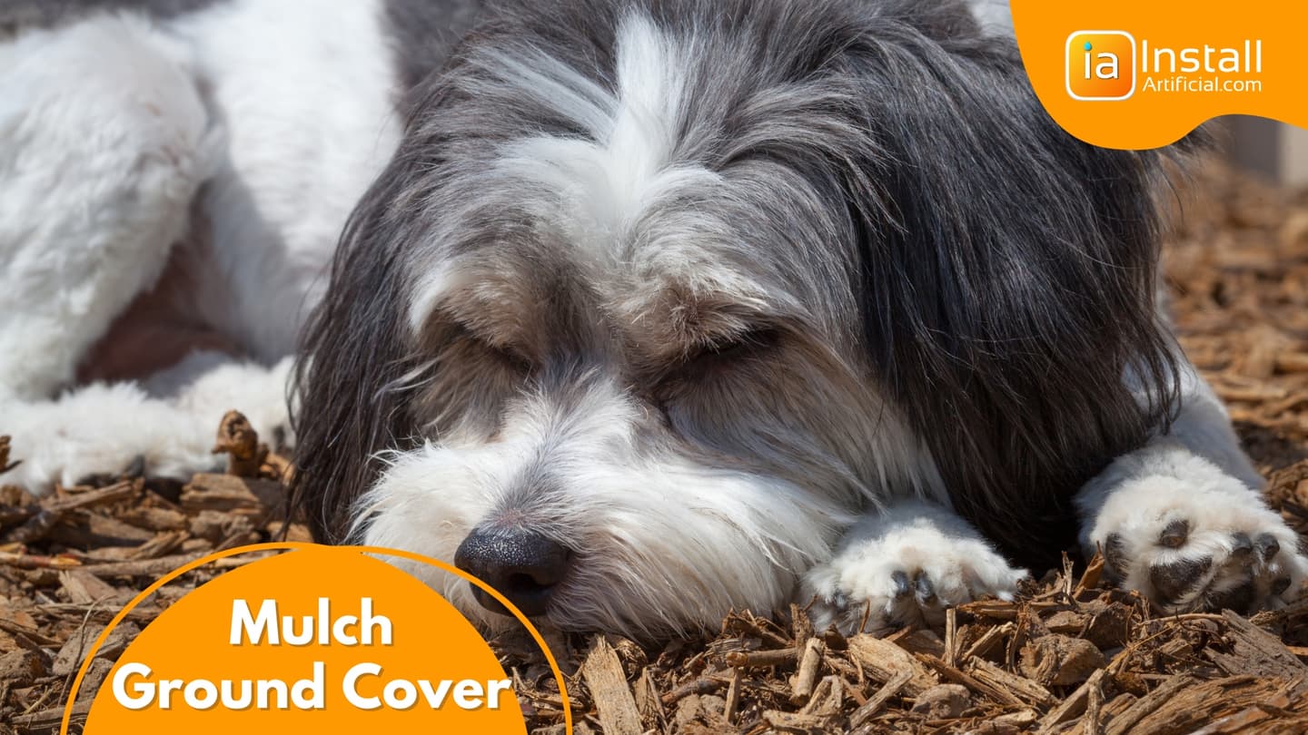 Mulch dog run grounf cover