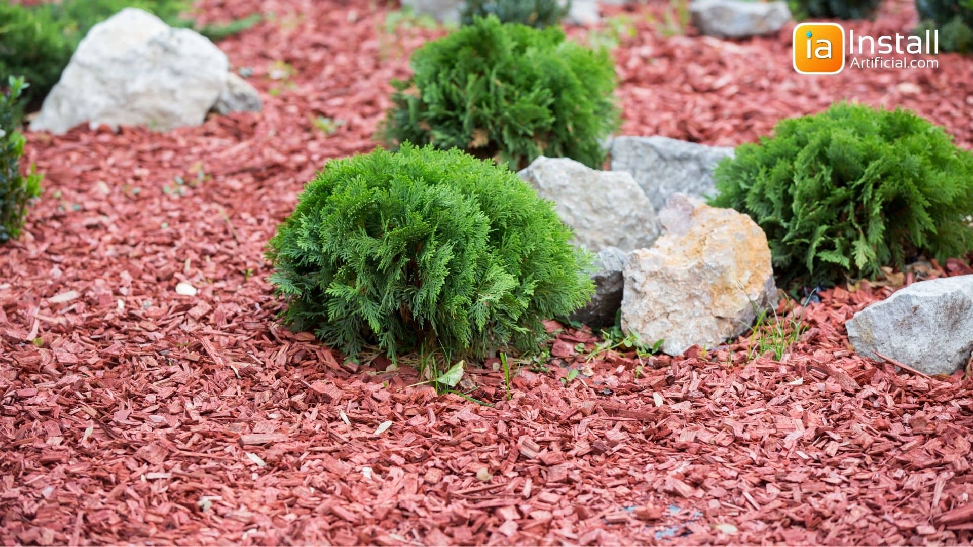 Mulch Natural Lawn Replacement Ideas