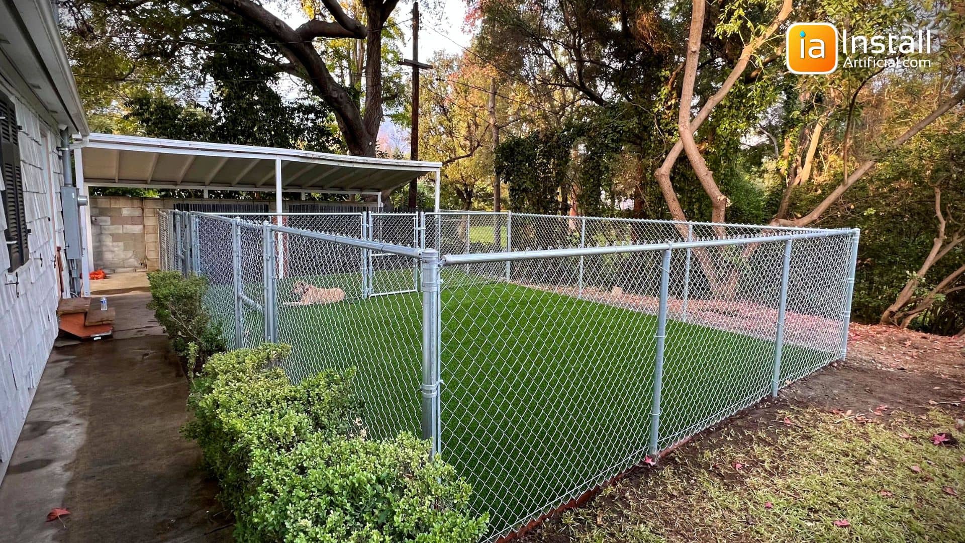 Backyard Design Artifiical Dog Run