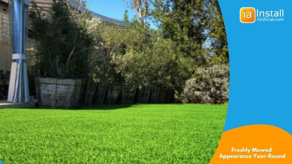 Artificial Grass Provides Freshly Mowed Appearance Year-Round