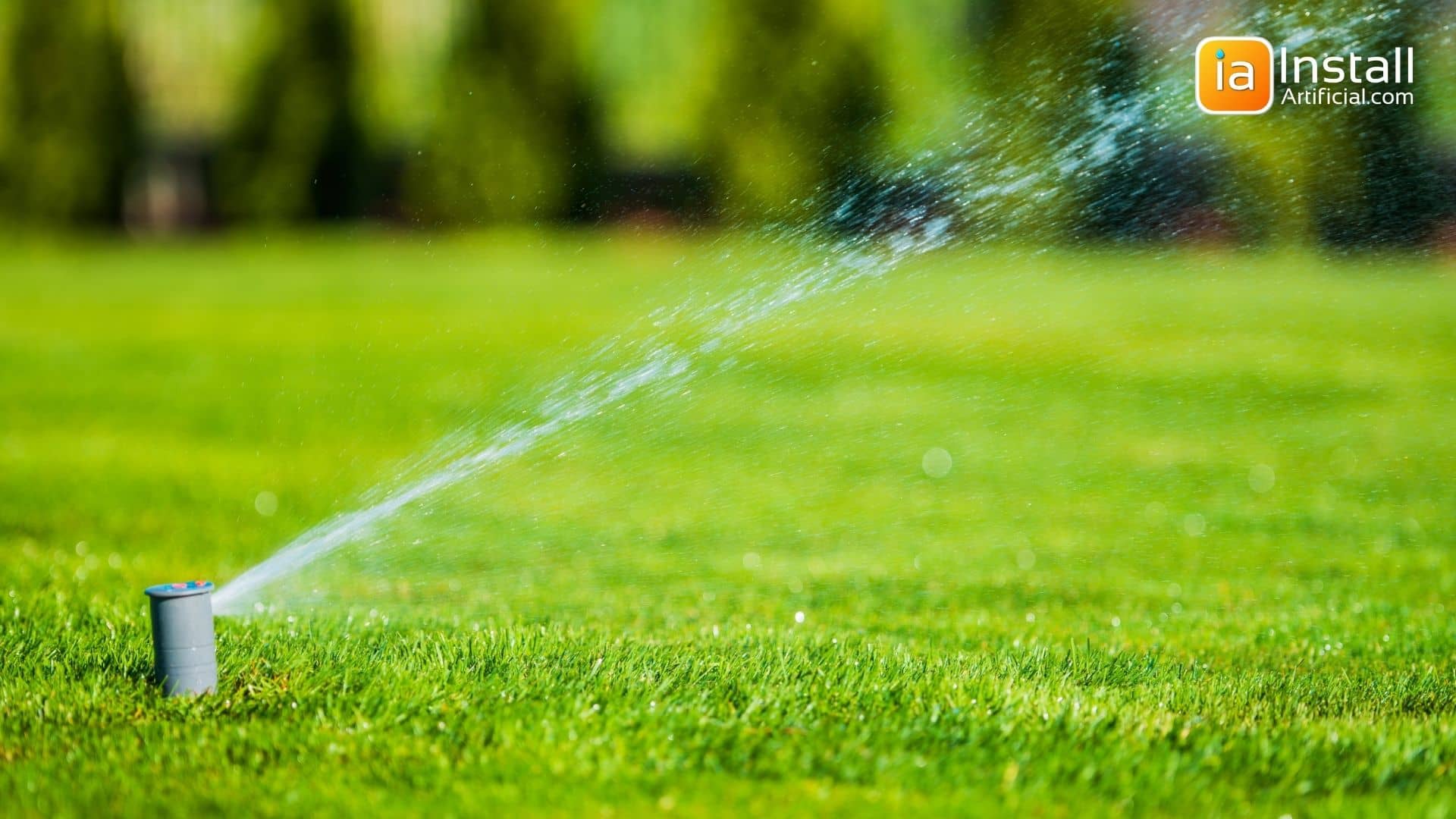 Governor Newsom Proposes Executive order to ban the watering of non-functional commercial lawns