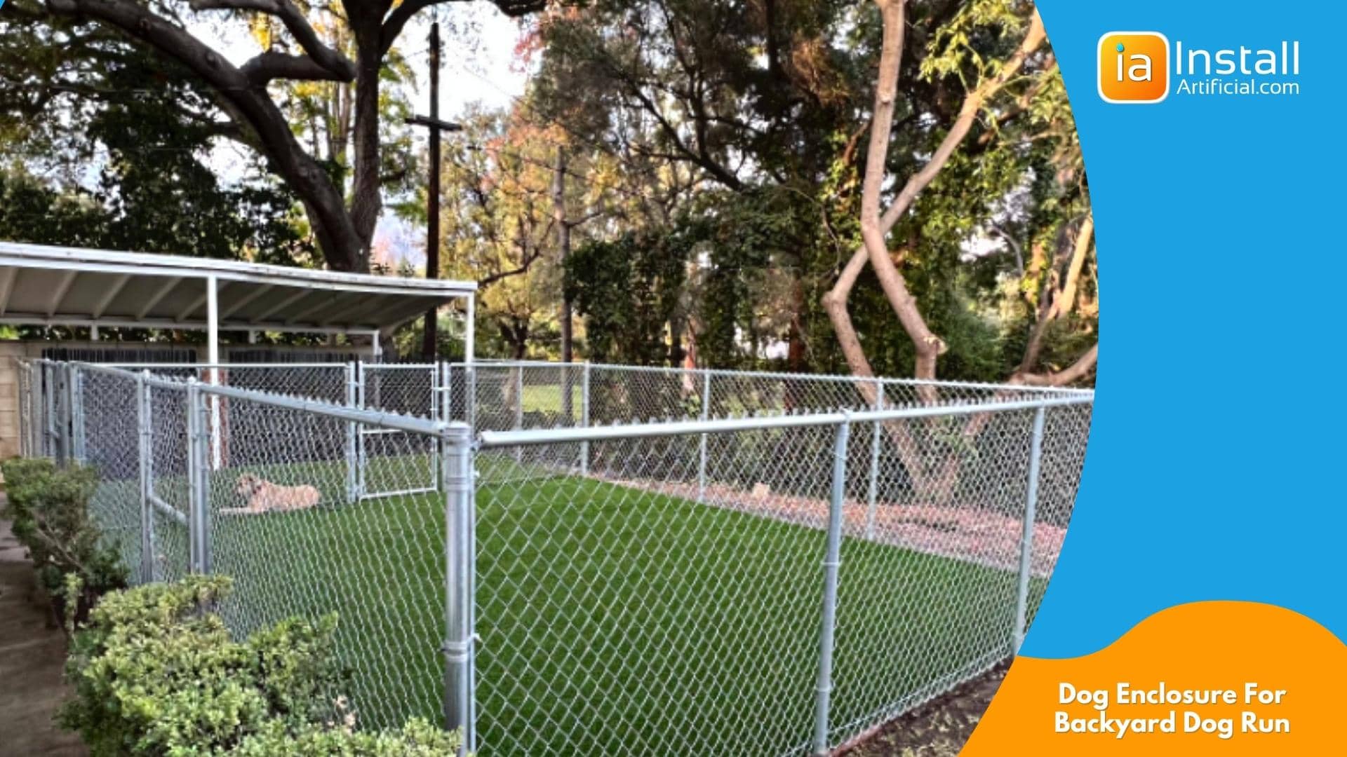 dog enclosure for backyard dog run