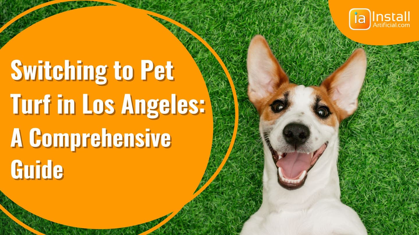 Switching to Pet Turf Los Angeles