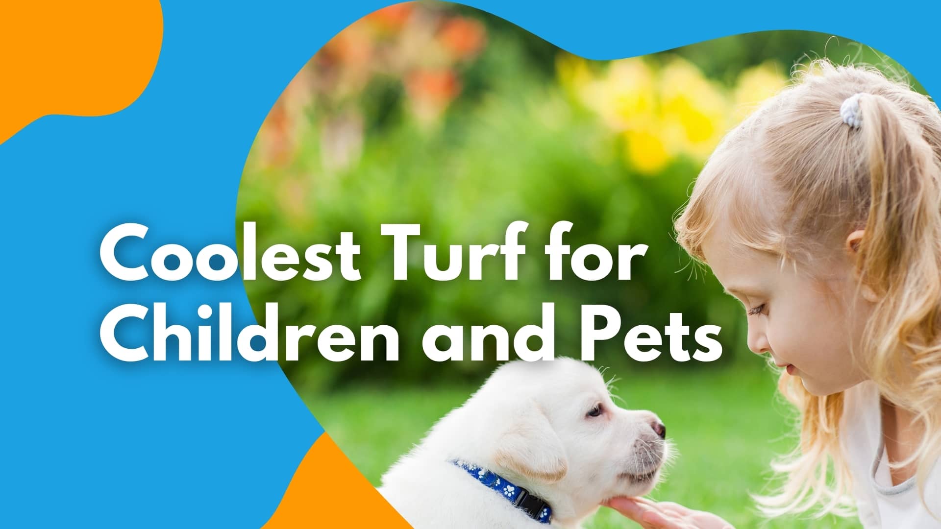Coolest Turf For Children and Pets