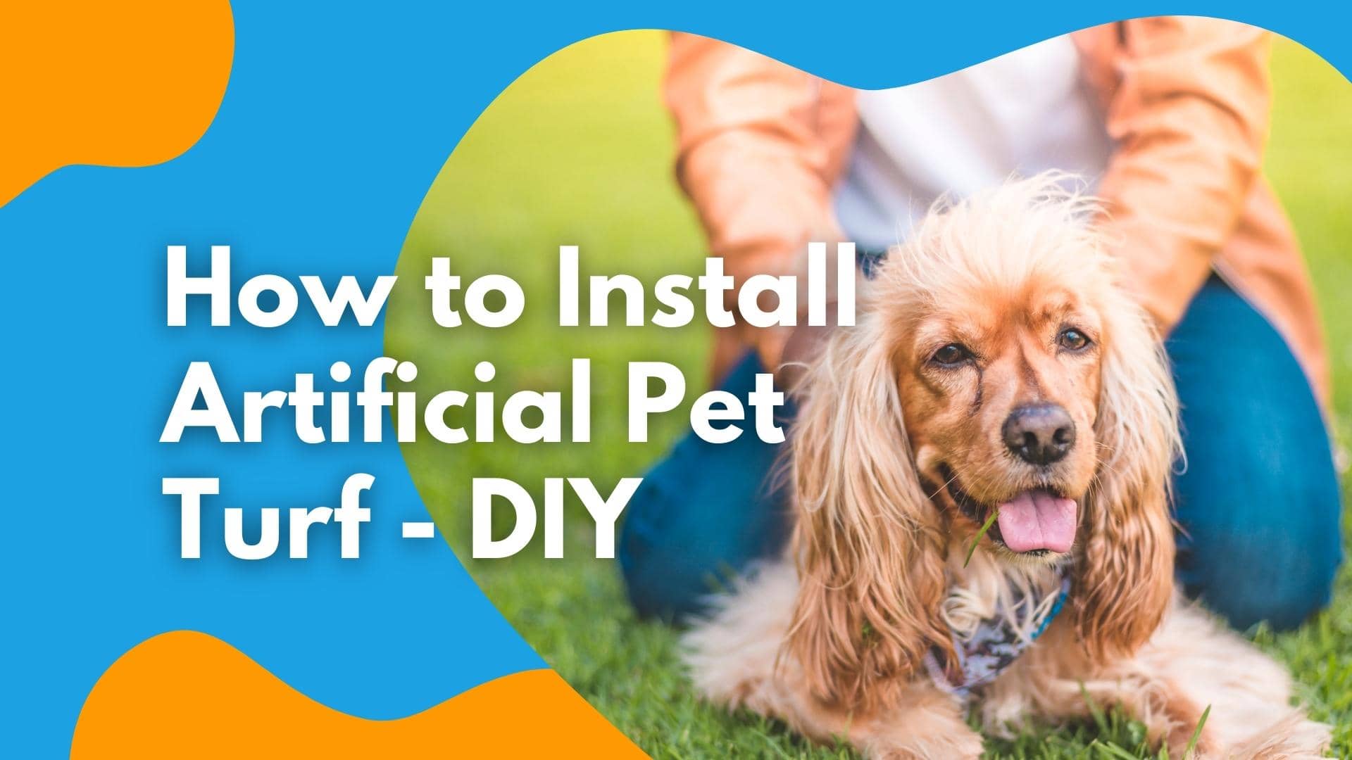 How to install pet turf diy