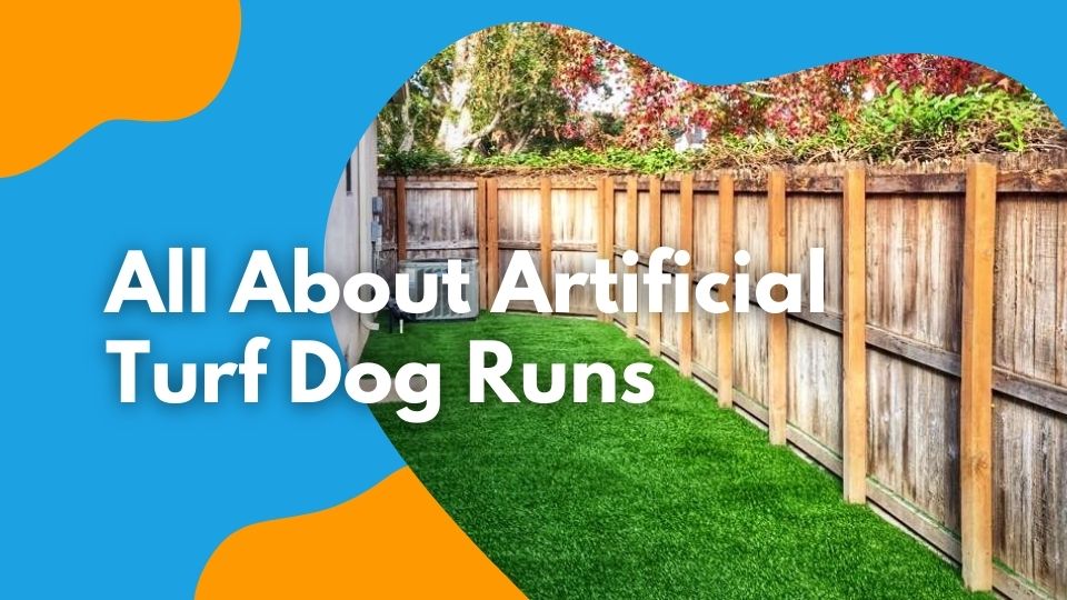 all about artificial turf dog runs