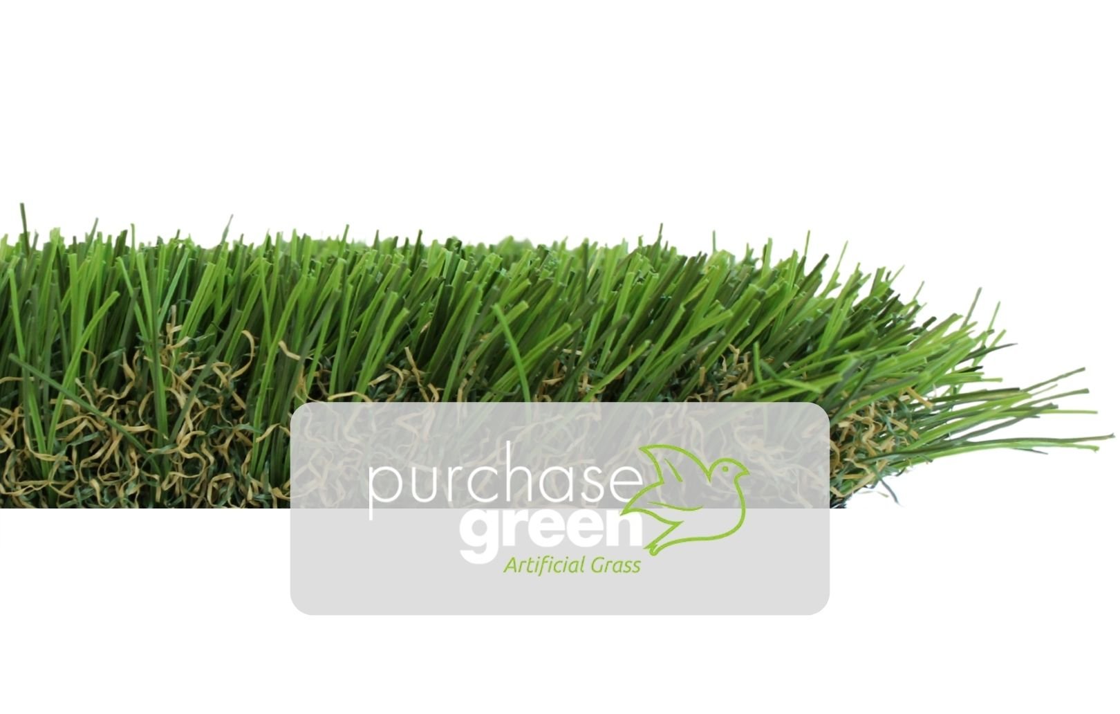 Purchase Green By Brand Featured Image
