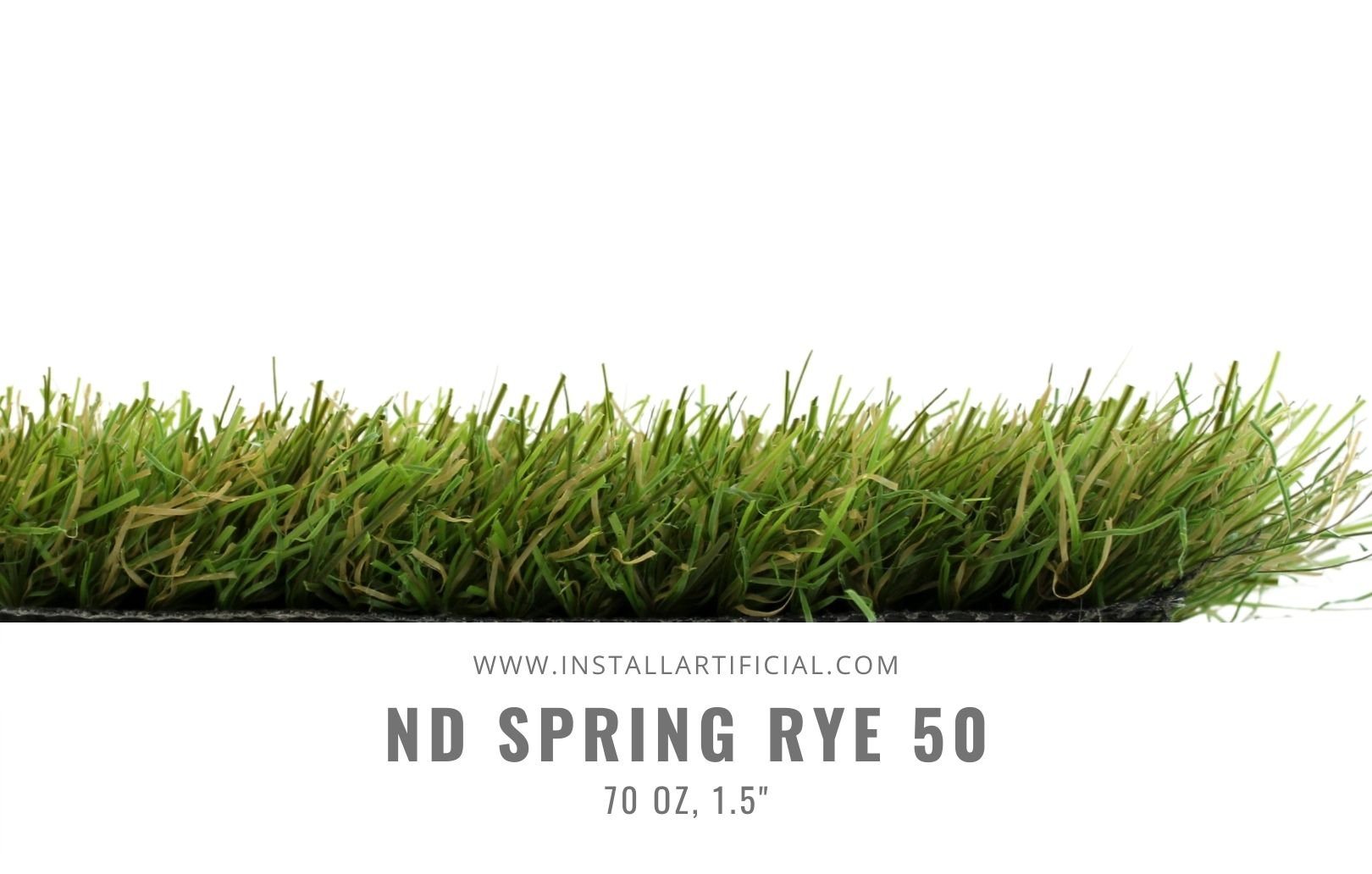 ND Spring Rye 50, Imperial Synthetic Turf, side