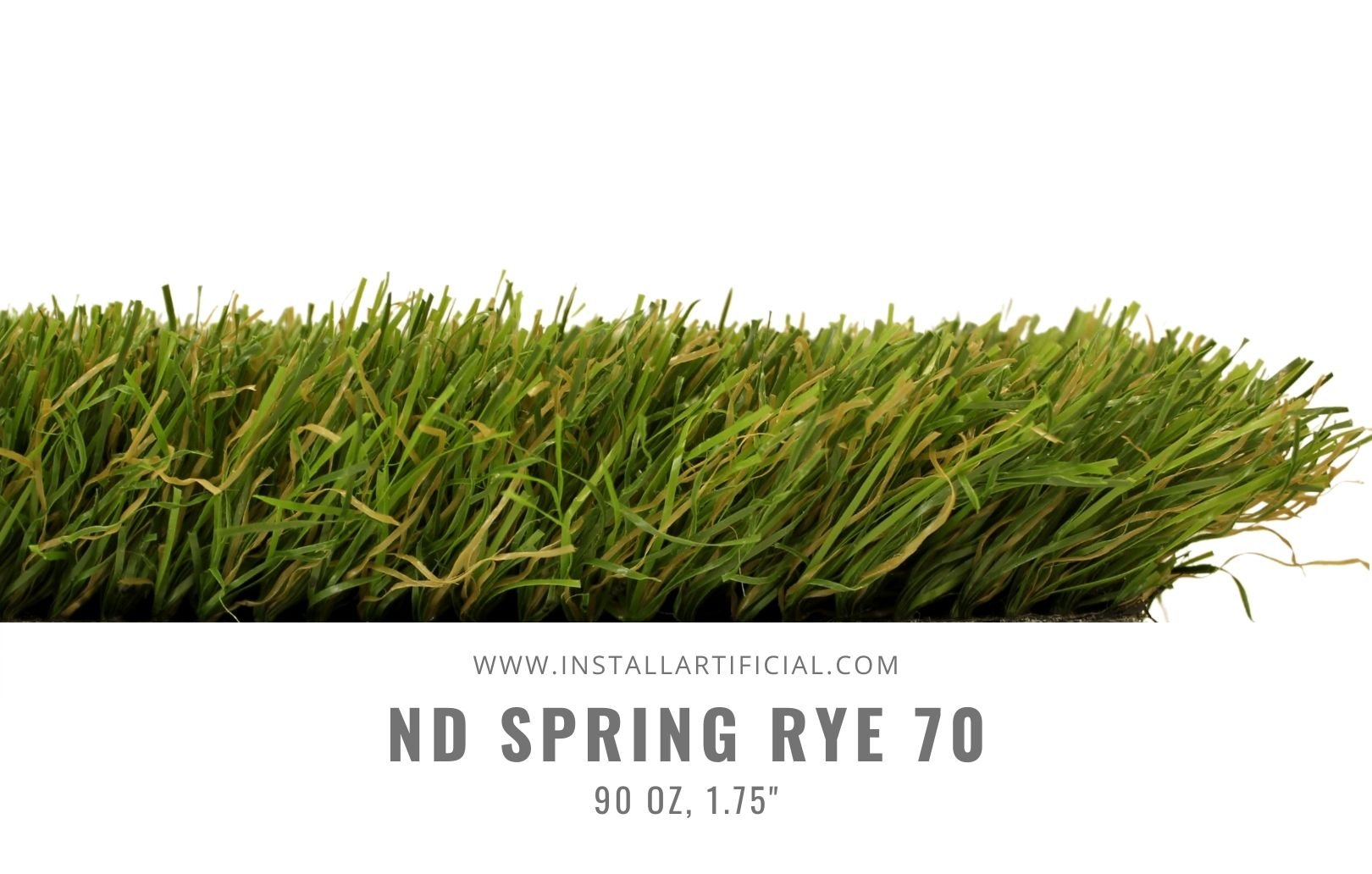 ND Spring Rye 70, Imperial Synthetic Turf, side image