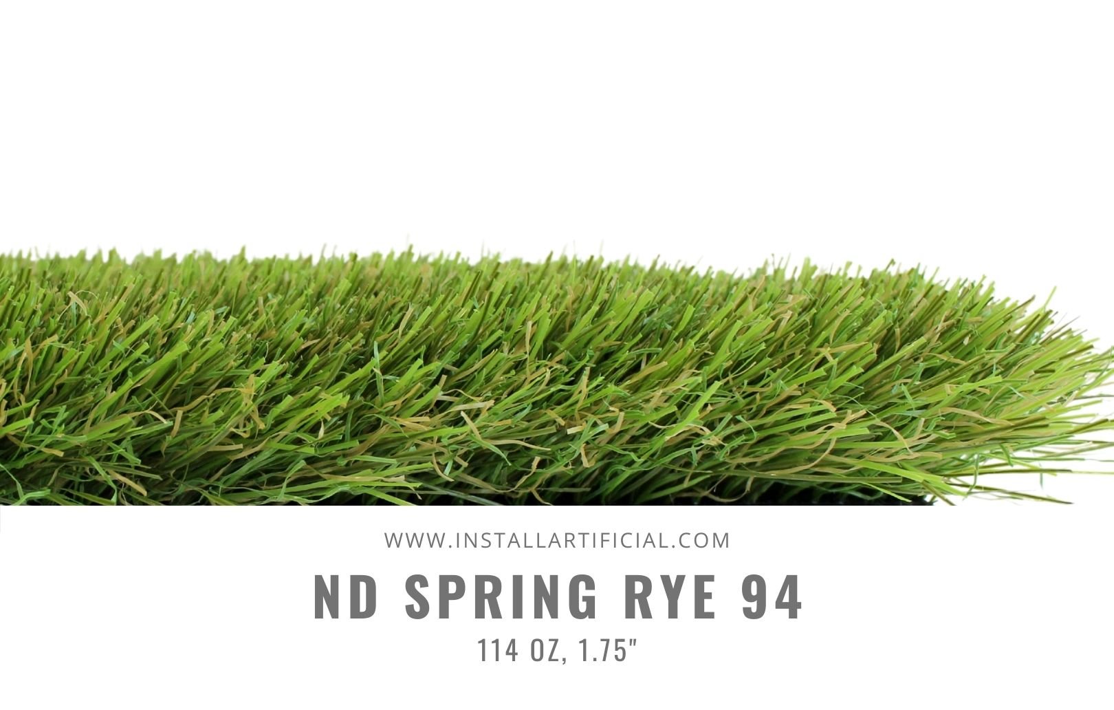 ND Spring Rye, Imperial Synthetic Turf, Side