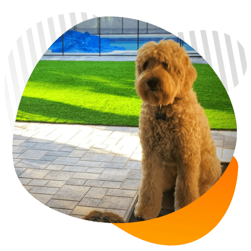 Residential K9 pet turf installation