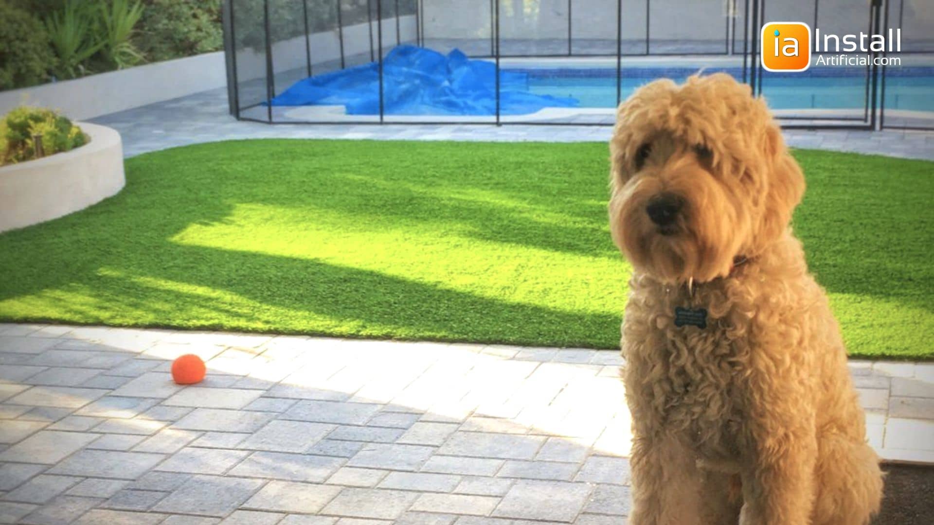 Cost of Backyard Pet Turf System