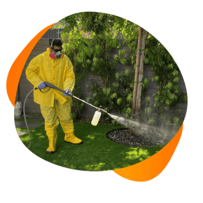 Artificial Grass Cleaning Service Los Angeles