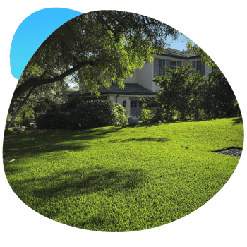 natural looking artificial grass-1 natural looking artificial grass-1