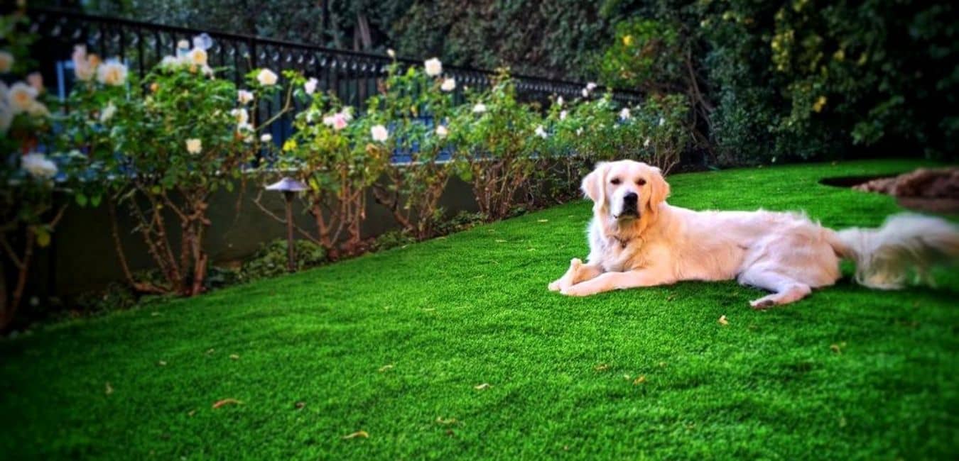 pet turf k9 artificial grass for dogs