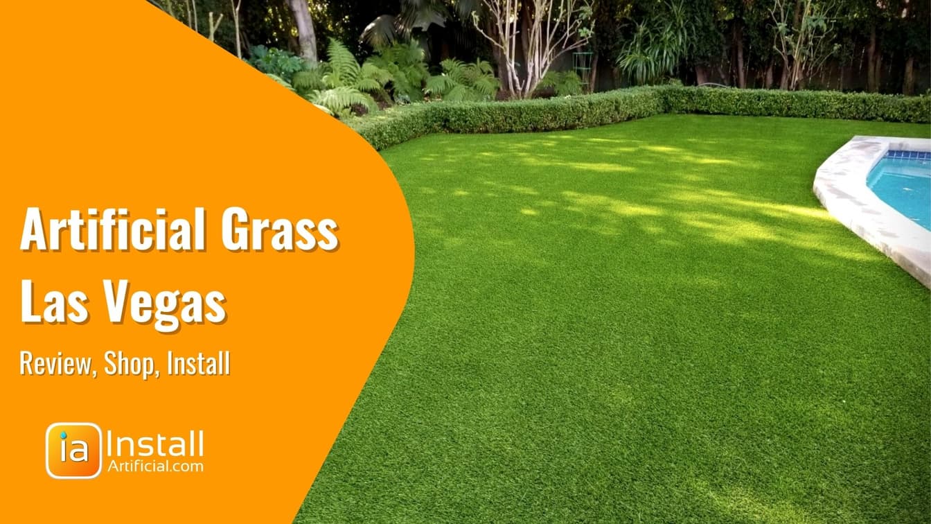 Finding the Best Artificial Grass for Dogs in Las Vegas