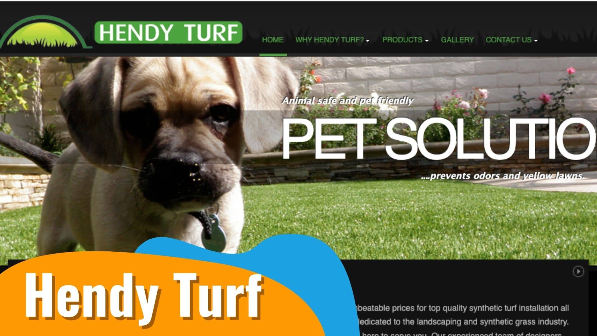 Hendy Turf Orlando