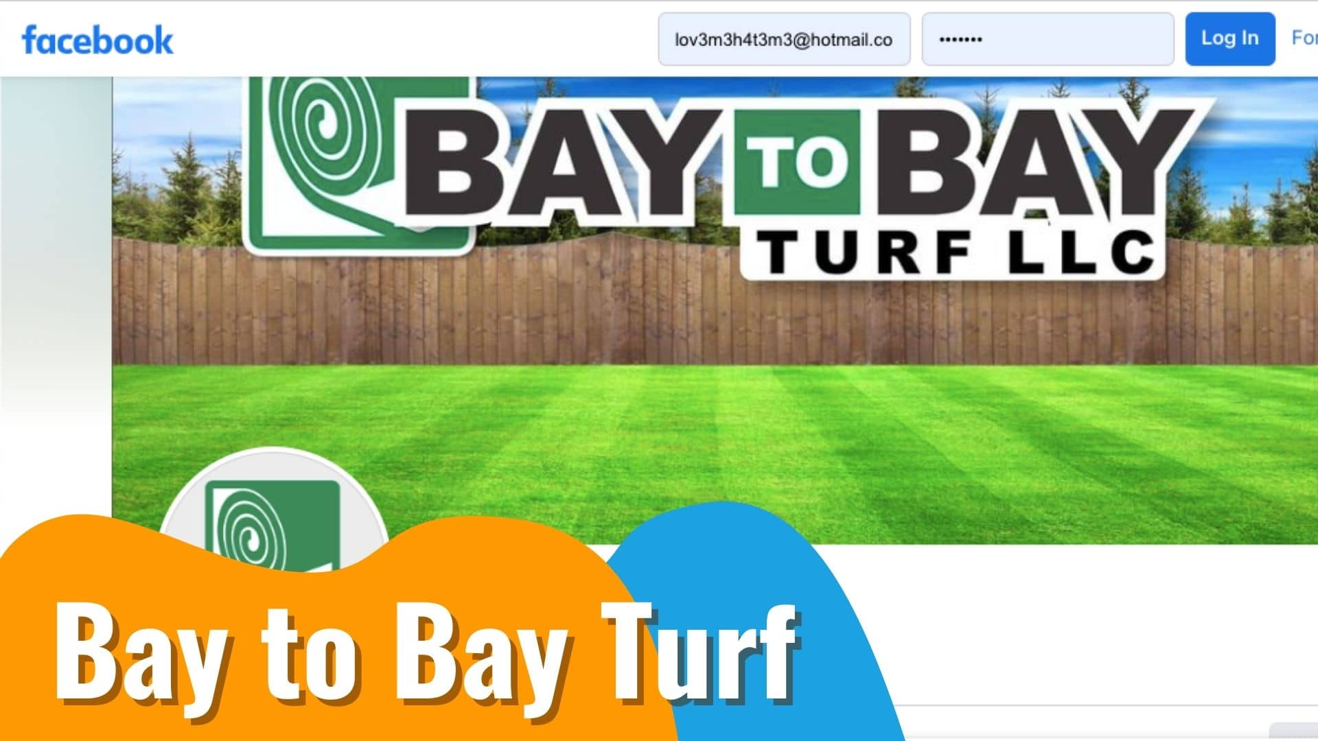 Bay to Bay Turf Tampa