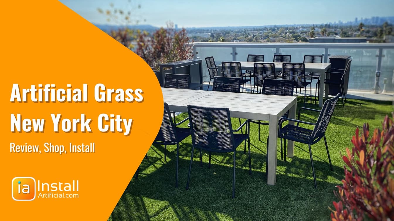 Finding the Best Artificial Grass for Dogs in New York City