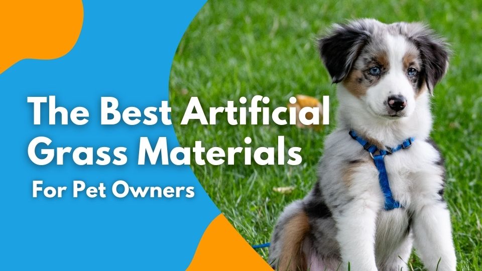 The Best Artificial Grass Materials for Pet Owners