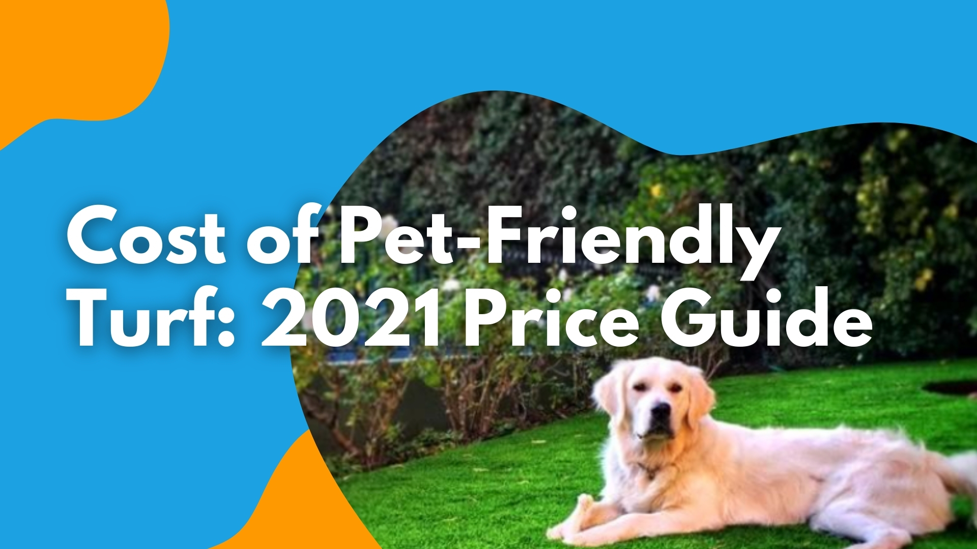 Cost of Pet-Friendly Turf Installation 2021