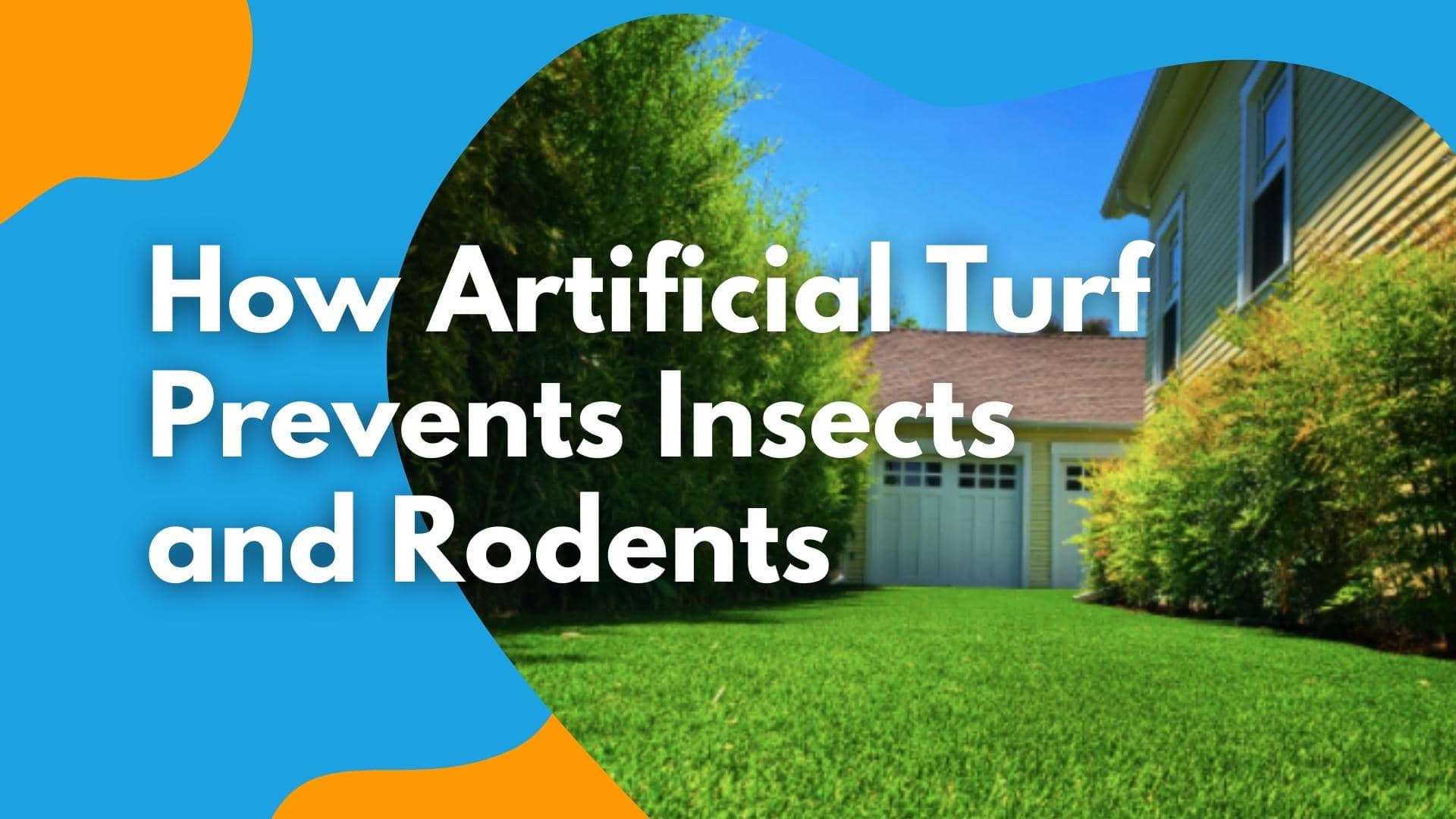 How Artificial Grass Prevents Insects and Rodents