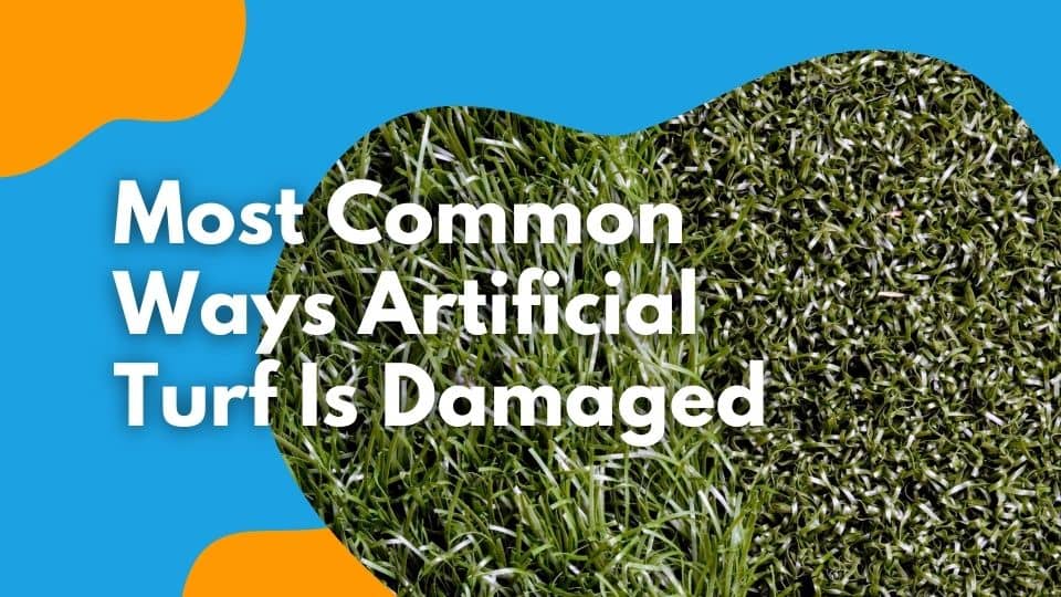 Most Common Ways Artificial Turf is Damaged