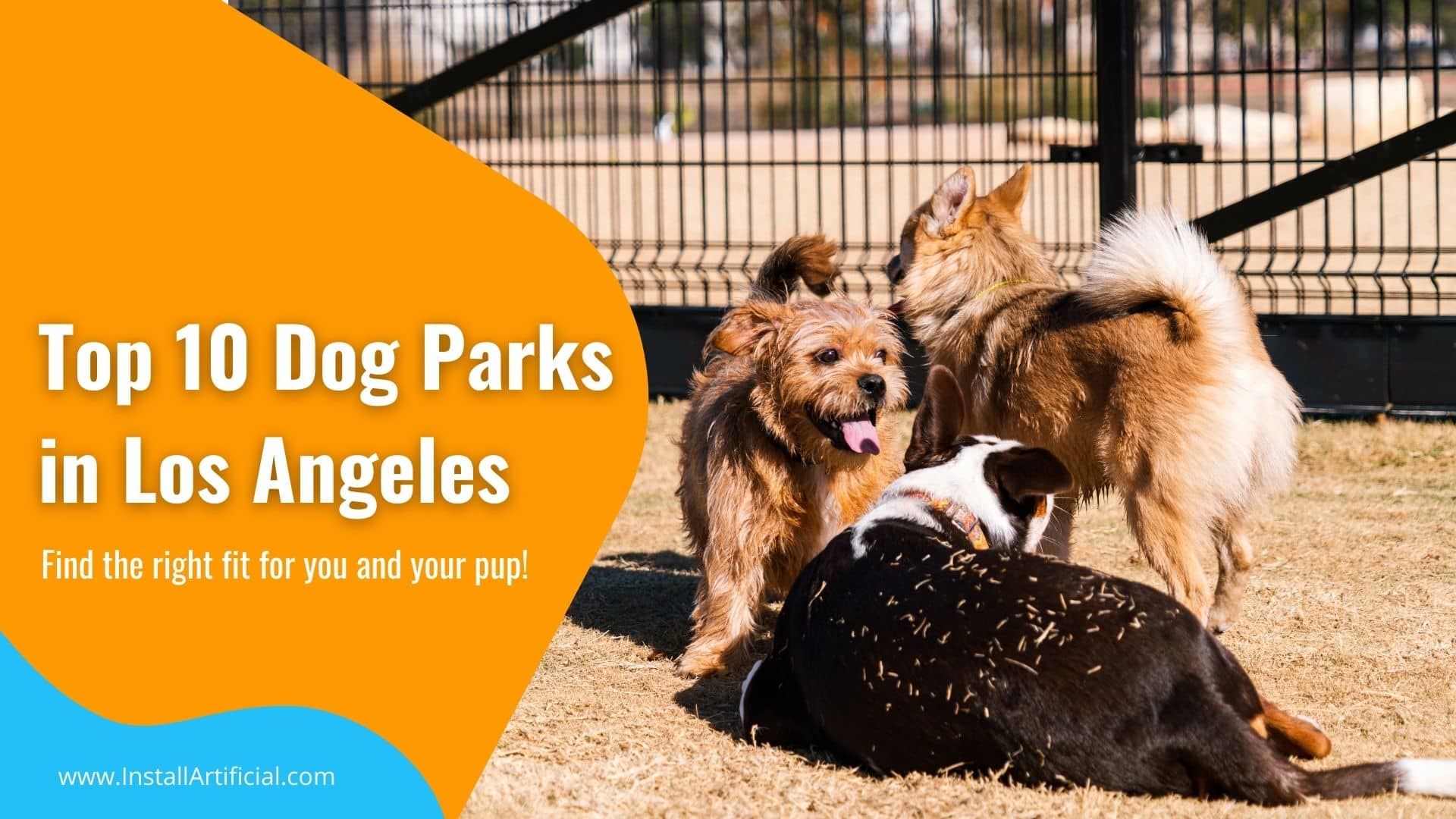 10 Best Dog Runs in Los Angeles