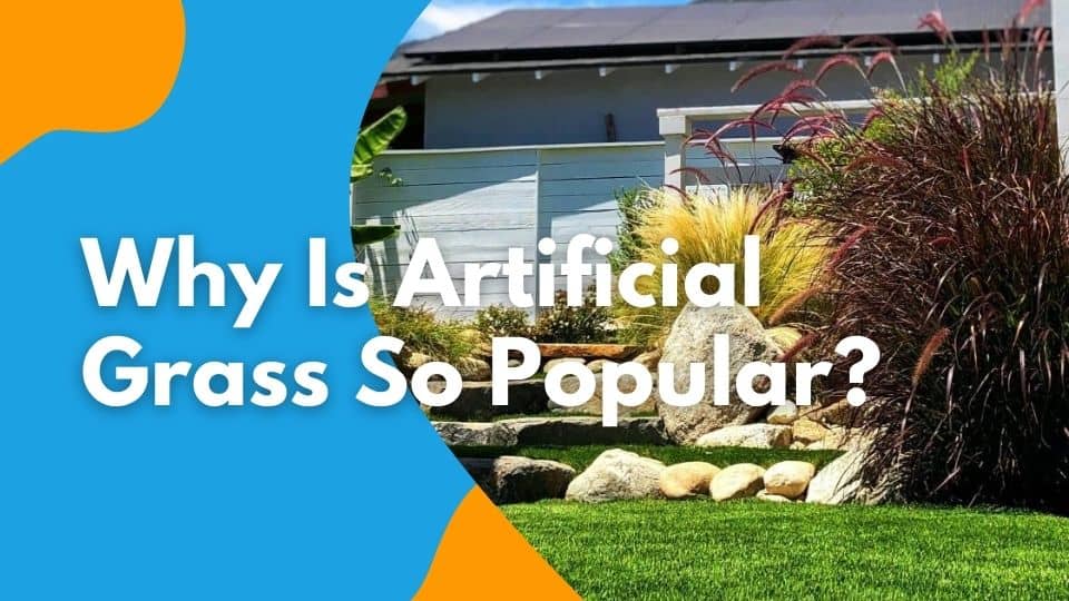 Why is artificial grass so popular?