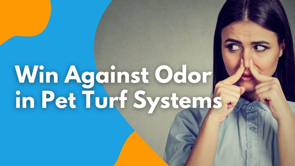 Win Against Odor in Pet Turf Systems