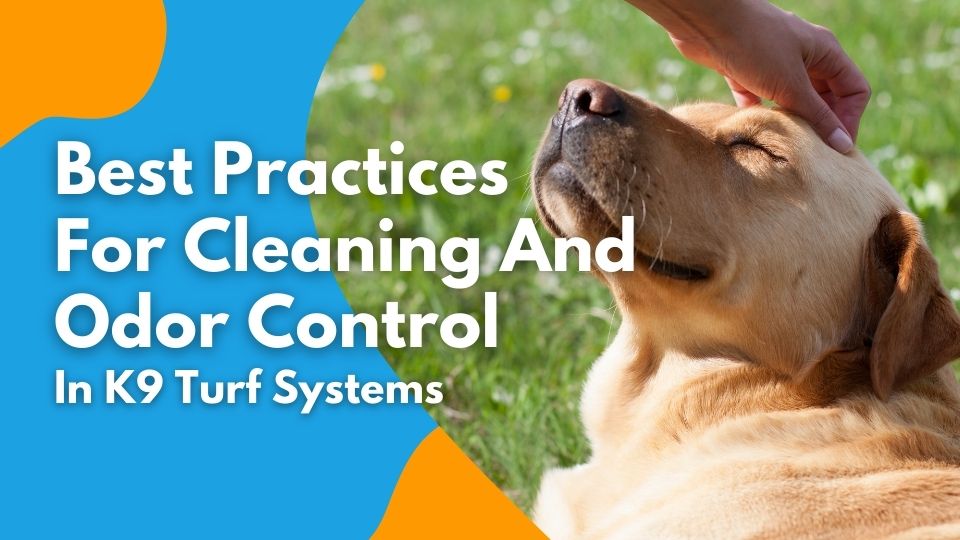 Best Practices for Cleaning and Odor Control in k9 Turf Systems