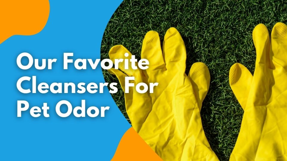 Our Favorite Cleansers For Pet Odor