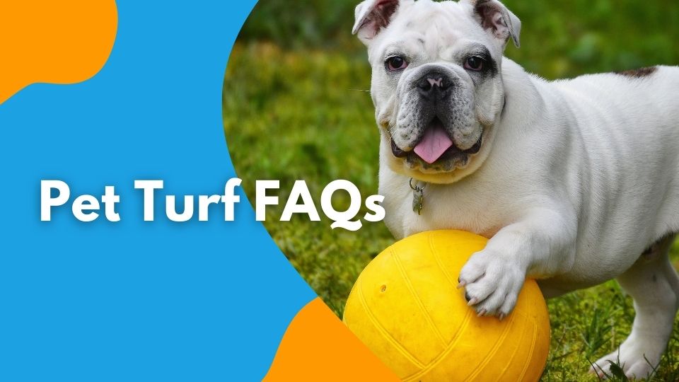 Pet Turf FAQs