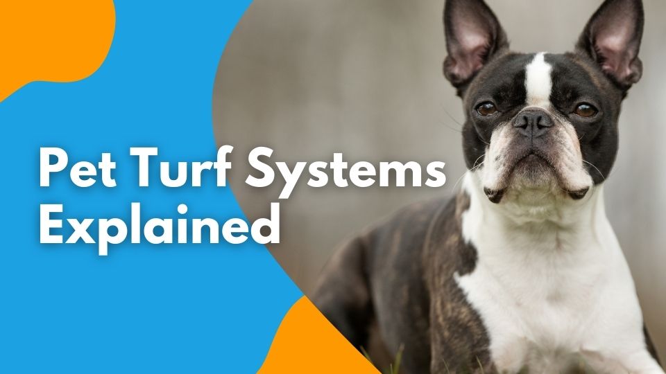 pet turf systems explained