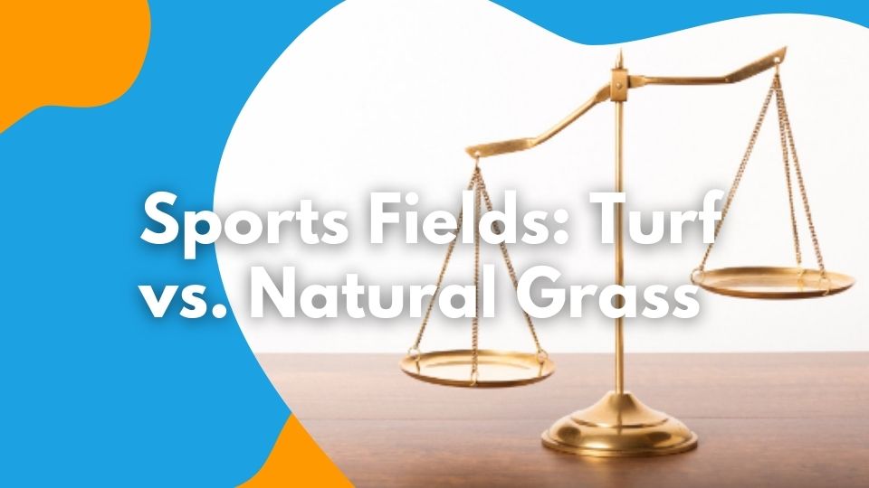 sports field turf vs natural grass