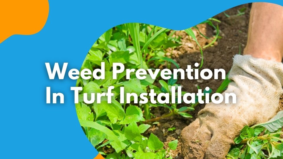 Weed Prevention in Turf Installation