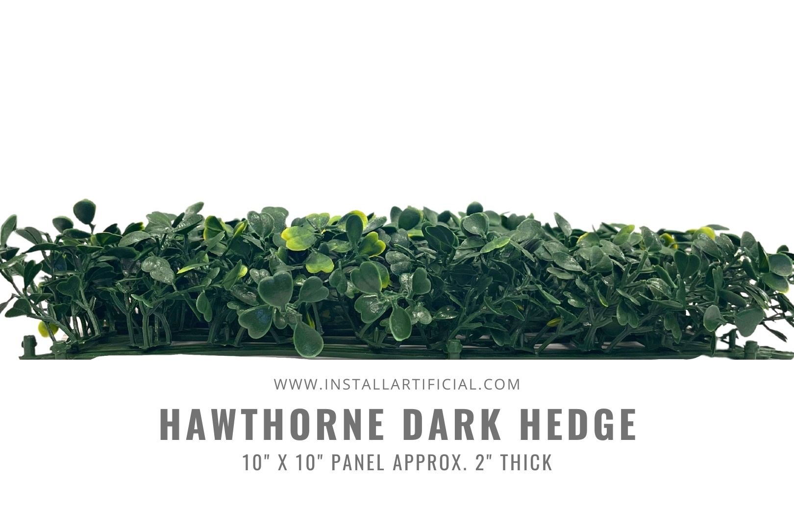 Hawthorne Dark Hedge Artificial Ivy side view Hawthorne Dark Hedge Artificial Ivy side view