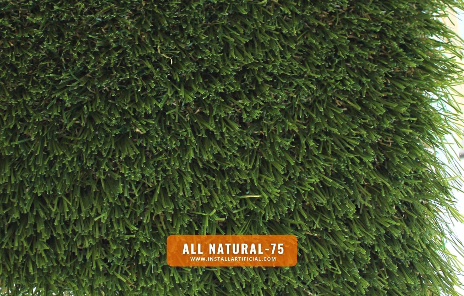 All Natural 75, Global Syn Turf, top