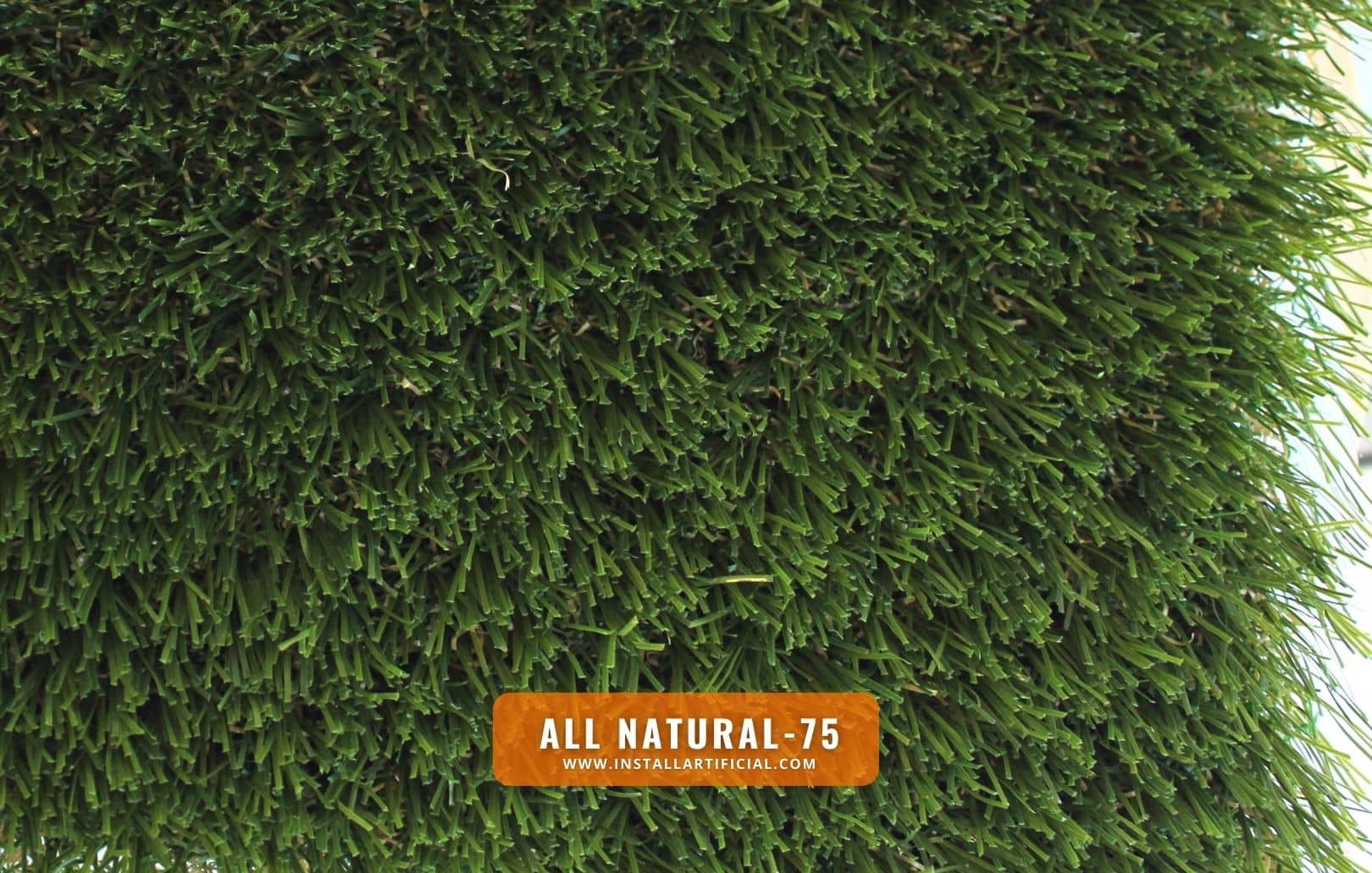 All Natural 75, Global Syn Turf, top All Natural 75, Global Syn Turf, top