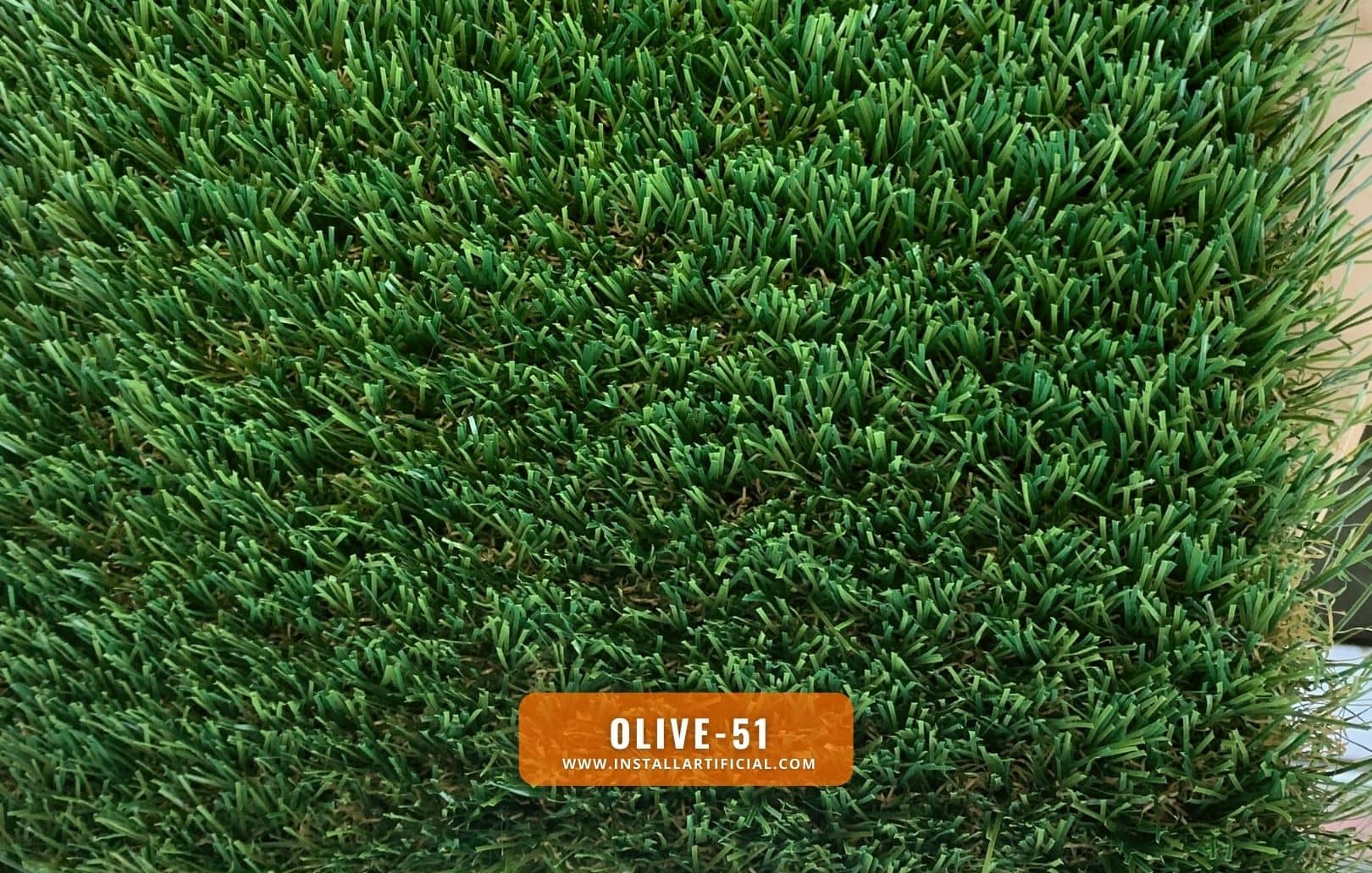 Olive 51, Global Syn Turf, top