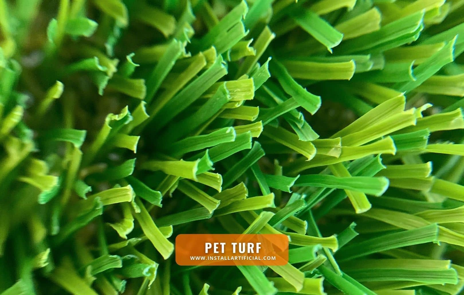 Pet Turf, Global Syn Turf, macro