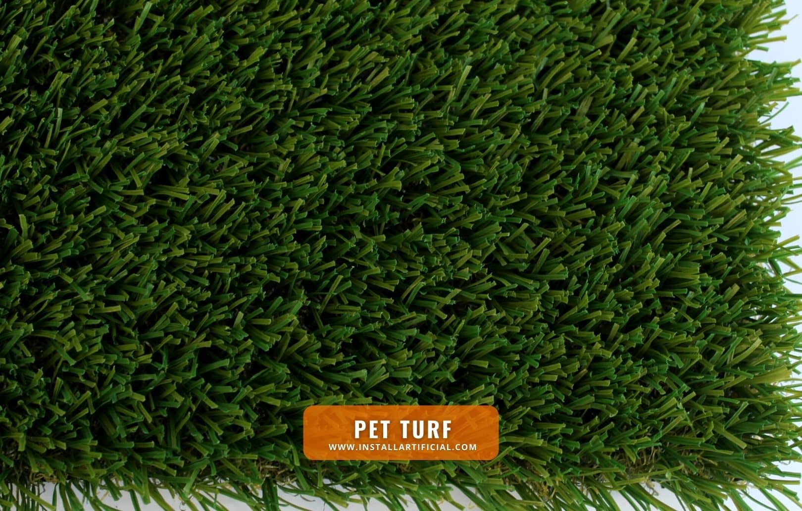 Pet Turf, Global Syn Turf, top Pet Turf, Global Syn Turf, top