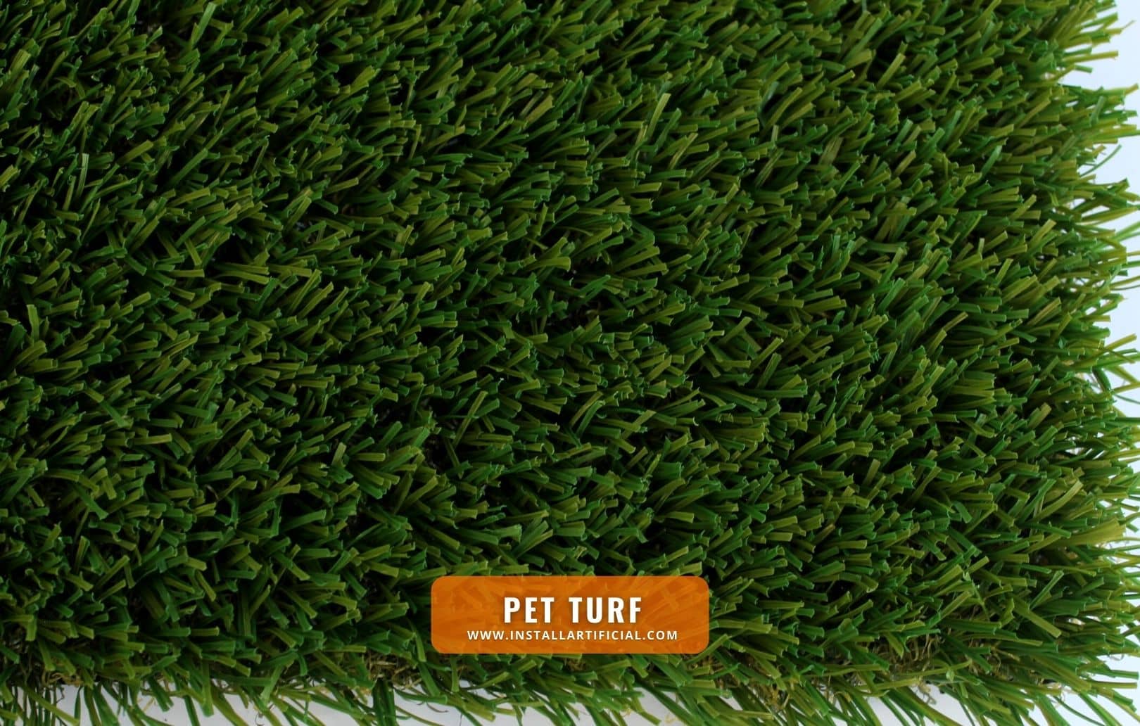 Pet Turf, Global Syn Turf, top