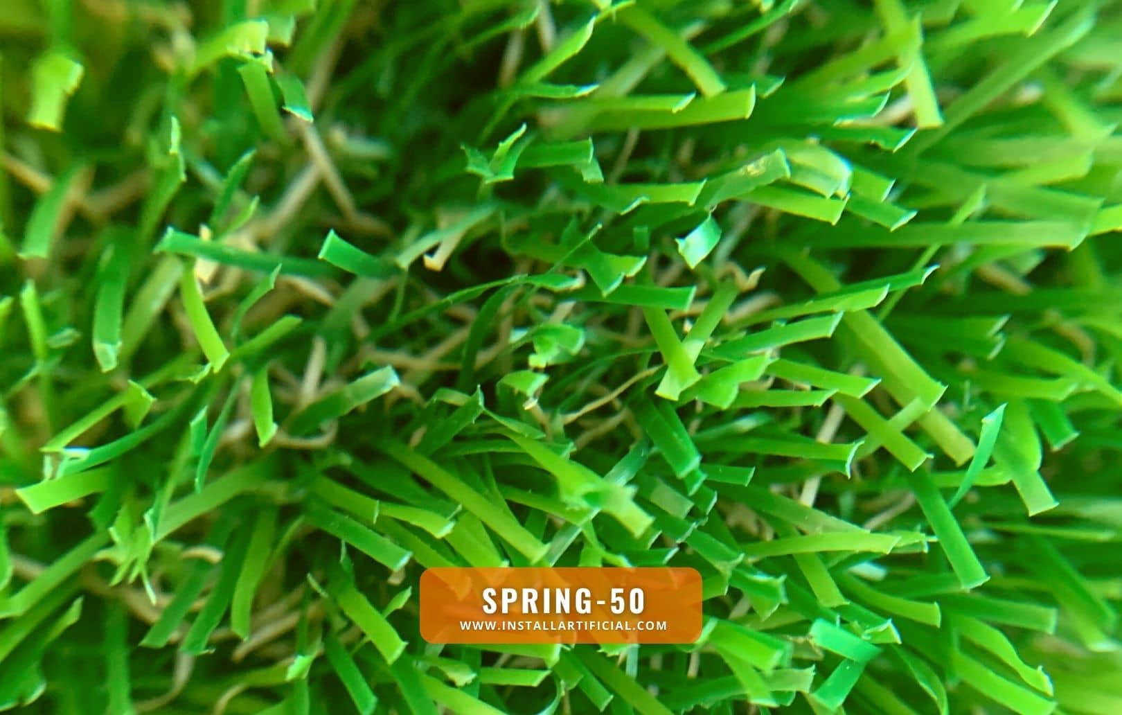 Spring-50, Global Syn Turf, macro