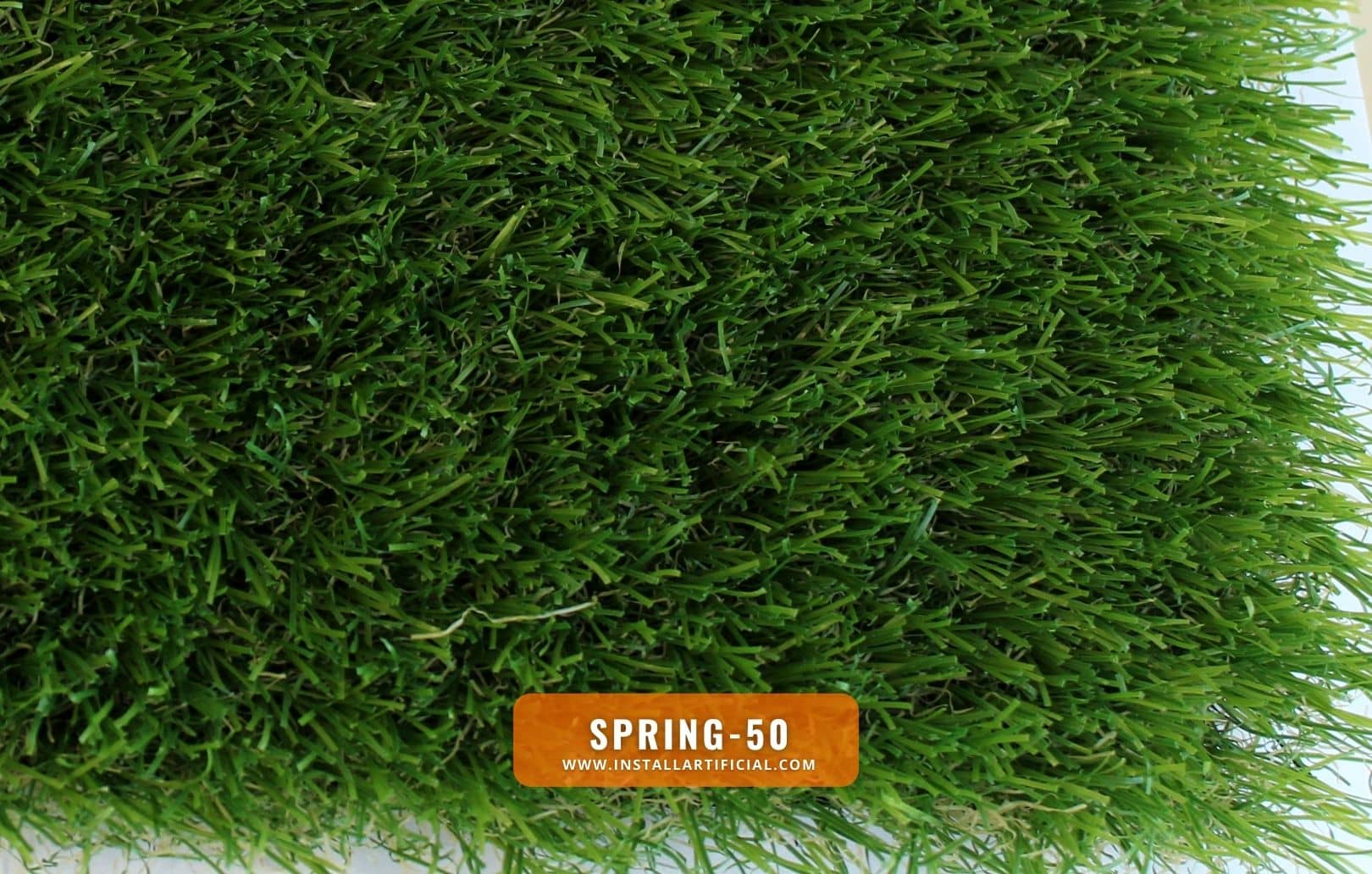 Spring-50, Global Syn Turf, top