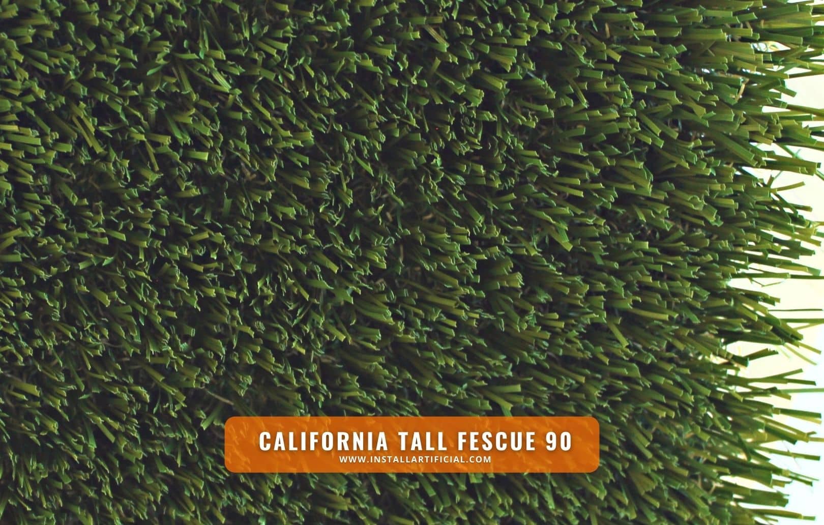 California Tall Fescue 90, Imperial Synthetic Turf, top