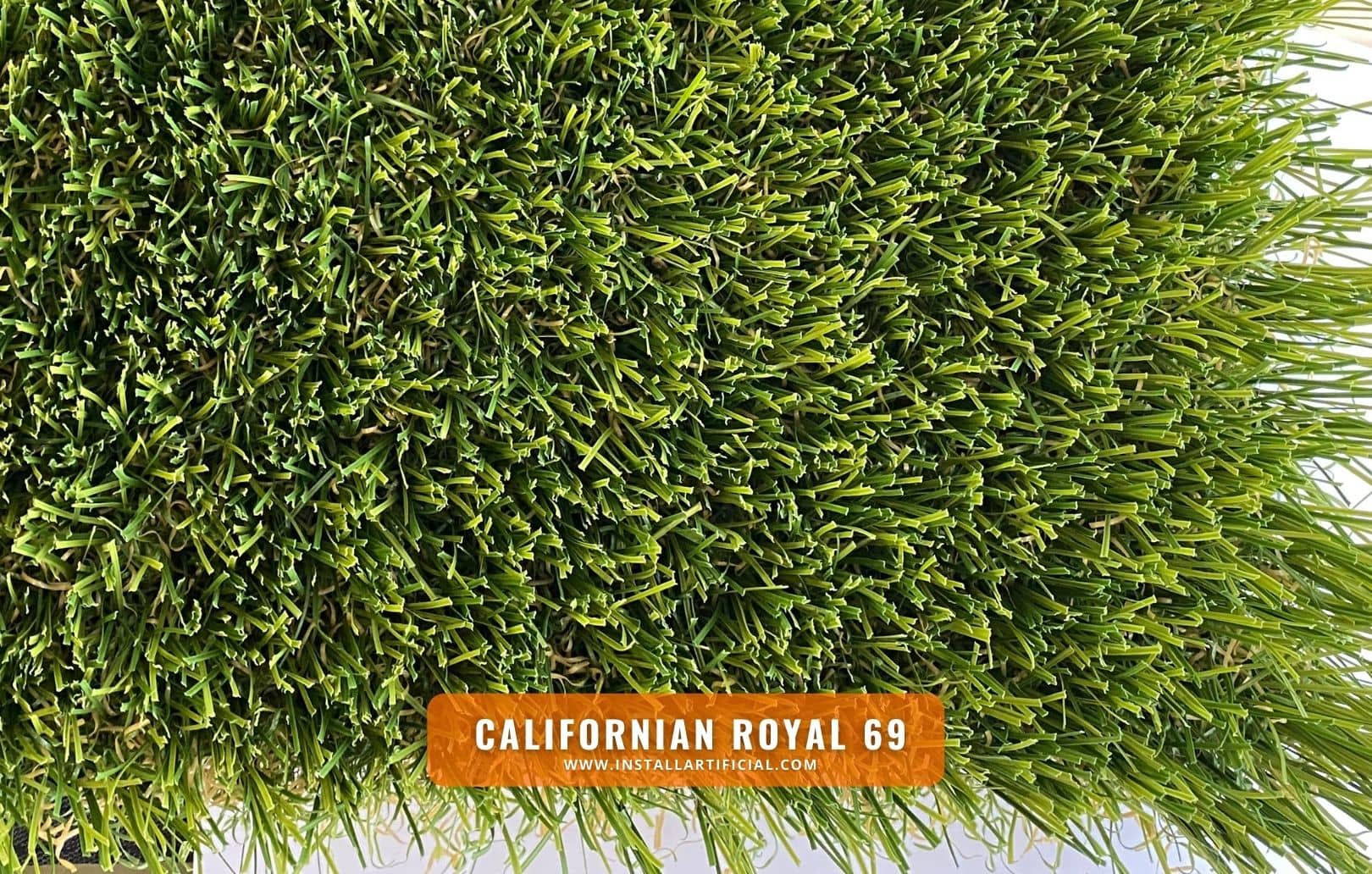 Californian Royal 69, Imperial Synthetic Turf, top