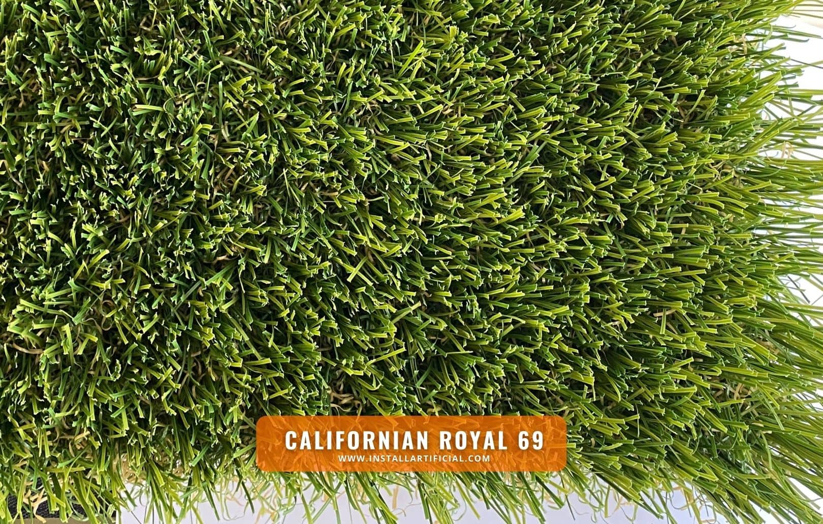 Californian Royal 69, Imperial Synthetic Turf, top Californian Royal 69, Imperial Synthetic Turf, top